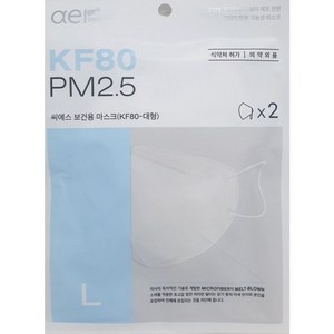 아에르 마스크 보건용 마스크 PM2.5 KF80 2매입 x 10개 흰색 대형
