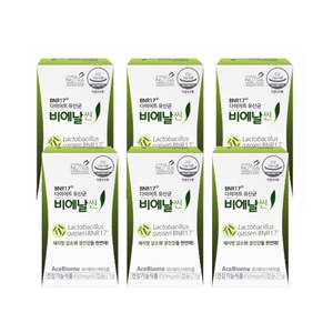 BNR17 [본사출고] 비에날씬(6개월)+본사정품 비에날씬보냉백 다이어트 유산균, 60정, 6개