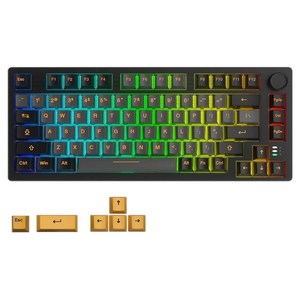 다얼유 EK75 프로 RGB 3모드 기계식 유무선 키보드