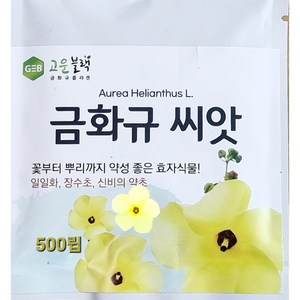금화규 씨앗 500립 건강 피부 미용꽃 효자식물 금화규전문농장, 1개