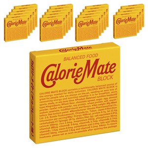 칼로리메이트 밸런스드 푸드 블록 초콜릿맛 4개입