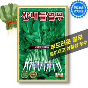 열무씨앗 (25g) 김장채소 부드럽고 상품성 우수한열무 채소 씨앗 씨, 1개