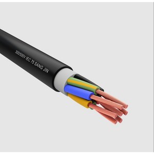 [상진전선] KIV 70SQ/절단판매/60227 KS IEC02/흑색/비닐절연전선, 1개