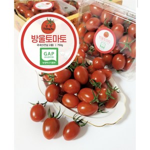[달향토마토] 당일선별 2024 국제미식품평회 수상 방울토마토 샛별토마토 다이어트 [로얄과] 2kg, 2개