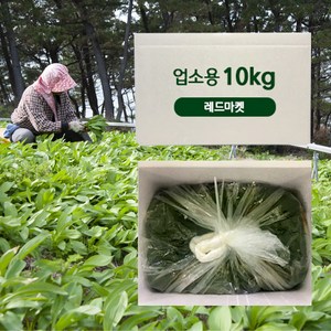 명인가 동북 명이나물10kg 업소용 명이나물장아찌 대용량반찬, 10kg, 1개