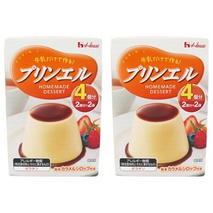 하우스푸즈 푸딩엘 2개입 54g