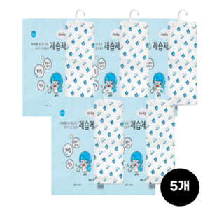 습할틈 젤타입 제습제 옷걸이형, 80g, 5개