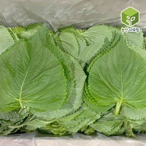 국내산 찹찹이 깻잎 2kg, 1개