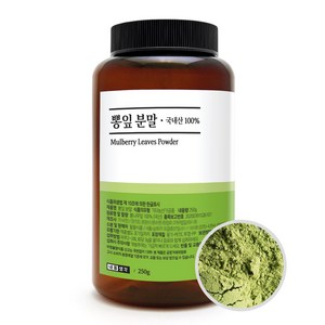 내몸생각 뽕잎 분말 가루 국내산 100%, 250g, 2개