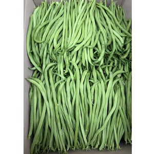 [금성식품] 중국줄당콩 쨔뚜왕 볶아먹는채당콩 500g, 3개