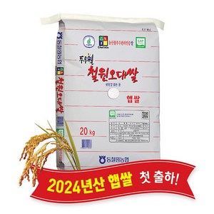 [당일도정] [동철원농협 직접운영] 2024년산 두루웰 철원오대 햅쌀, 20kg, 1개