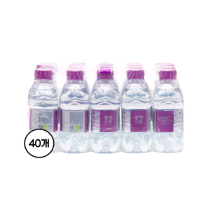 몽베스트 생수, 330ml, 40개