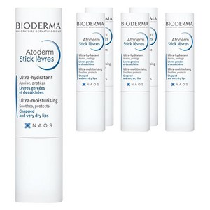 바이오더마 아토덤 립스틱, 4g, 6개