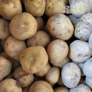 23년 햇감자 최상품 카스테라 홍감자 파지감자 저장감자, 못난이(50g~400g), 1박스, 2kg