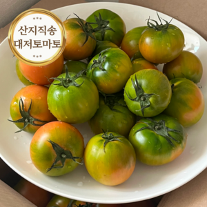 농협 단짠 중독적인 대저 짭짤이토마토, 2.5kg(혼합과), 1개