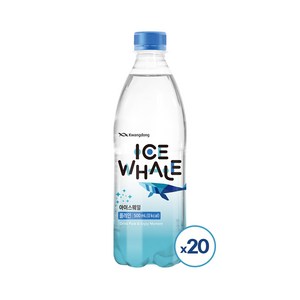 [광동직송] 아이스웨일 플레인 500ml x20병 /탄산수, 20개
