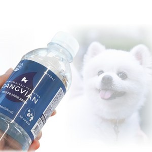 몸에 좋은 강아지 생수 미네랄 워터 물 댕비앙 500ml x 20개