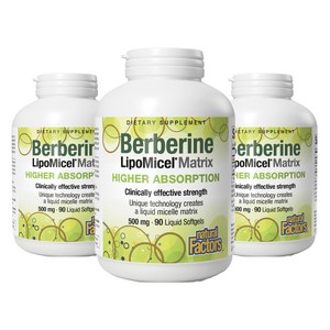 네추럴팩터스 베르베린 리포미셀 매트릭스 500mg 리퀴드 소프트젤, 90정, 3개