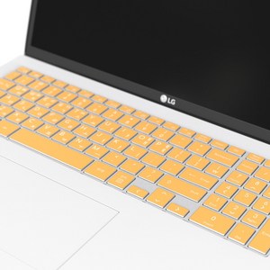 보이아 LG 그램 노트북 키스킨 키보드 커버 ZD90P Z90P ZD95P Z95P 16인치, 14인치(14ZD95P 14Z95P), 키스킨 민트, 1개
