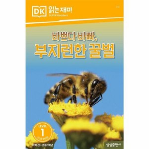 웅진북센 바쁘다 바빠 부지런한 꿀벌 - DK 읽는재미 레벨 1-10, One color | One Size