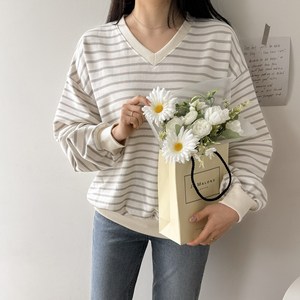 데일리앤 원트 여성 루즈핏 긴팔 스트라이프 맨투맨 티셔츠 봄 가을