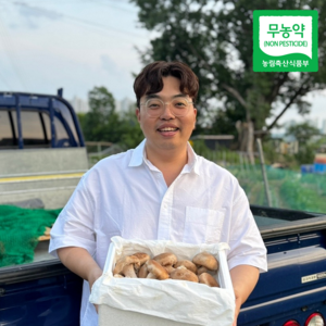 [산지직송] 무농약 인증 국내산 송화 송향버섯, 1박스, 중품 1kg