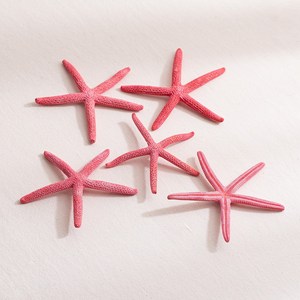 [데코봉봉] 레드 불가사리 5개 9cm 바다 오브제 여름소품