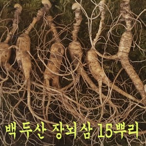 킹마트 장뇌삼 산양산삼 13년근 18년근 (10뿌리 한세트) 산양삼 산삼 선물 어버이날 13년산 18년산, 5뿌리, 1개