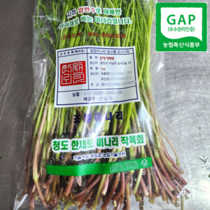 [GAP 인증] 산지직송 향긋한 청도 미나리, 500g, 1개