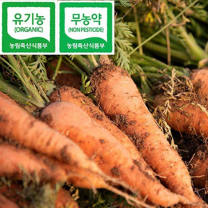 [홍성유기농] 2024년 국내산 친환경 무농약 햇당근, (햇)무농약, 1박스, 3kg