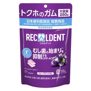 리카르덴트 그레이프 민트 껌 스탠드 파우치, 250g, 1개