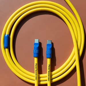 파카이 2미터 240W 충전 실리콘 케이블 C to C