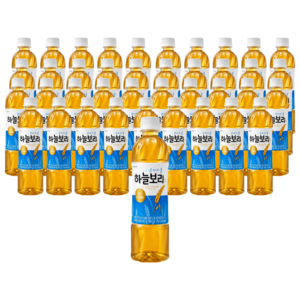 하늘보리, 500ml, 40개