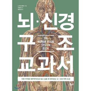 뇌 신경 구조 교과서:아픈 부위를 해부학적으로 알고 싶을 때 찾아보는 뇌·신경 의학 도감, 보누스, 노가미 하루오 저/장은정 역/이문영 감수