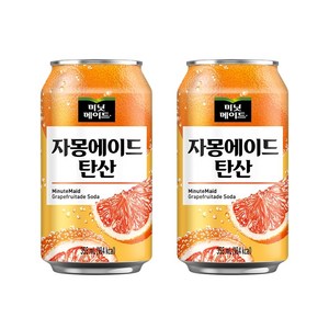 미닛메이드 자몽에이드 탄산, 355ml, 24개