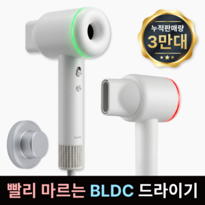 독일 BLDC 항공모터 저소음 음이온 헤어 드라이기