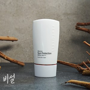 (최신정품)르네셀 앱솔루트 썬 프로텍션 SPF 50+/PA++++ 50g, 1개