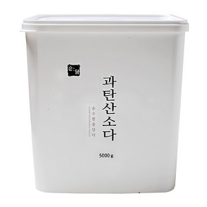 순담 과탄산소다 세정제, 5kg, 1개