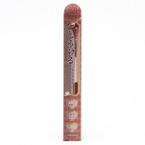 캔메이크 젤 라이너 0.1g, 09 다즐링 핑크, 1개