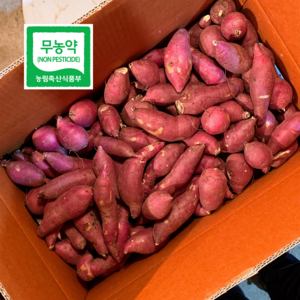 파머스넷 세척 무농약 꿀고구마 정품, 10kg 한입 (6..., 1개