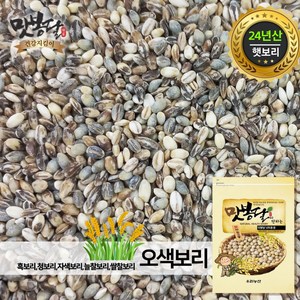 맛봉달 오색보리쌀 흑보리 자색보리 청보리 늘찰보리 쌀찰보리 국내산, 1개, 2kg