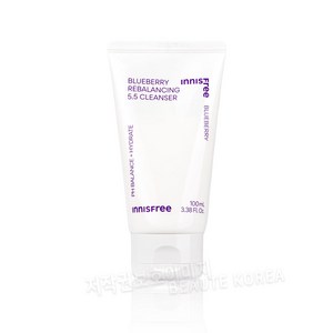 이니스프리 블루베리 리밸런싱 5.5 클렌저 100mL, 100g, 1개