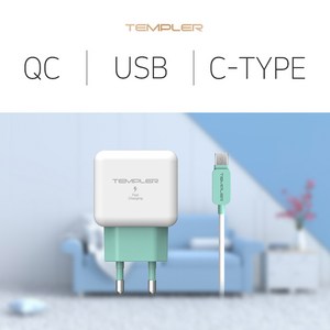 템플러 QC3.0 18W 1포트 C타입 고속 충전기, 1개