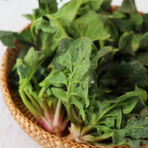 남해의 보물같은 시금치 남해초, 1박스, 1kg