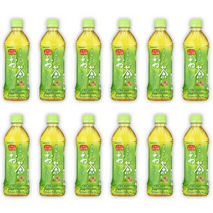 산가리아 당신의 녹차, 500ml, 12개