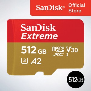 샌디스크 익스트림 메모리카드 마이크로칩 QXA1