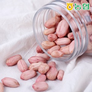 고창 대성농협 고소한 생알 땅콩 1kg, 1개