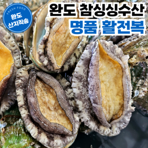 [완도참싱싱수산] 산지직송 당일채취 산소포장 명품 활 전복, 1개, 500g (대 6~7미)