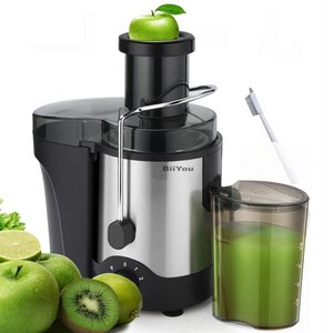 BiiYou 스테인리스 착즙기 600ml 원액기 가정용 분리 과즙기 600W고출력 믹서기