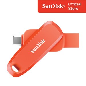 샌디스크 USB 메모리 Phone Dive C타입 OTG 3.2 Gen1 메모리 SDDDC6 오렌지 컬러, 1개, 64GB